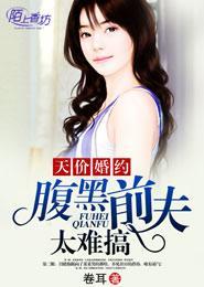 天价婚约，腹黑前夫太难搞封面
