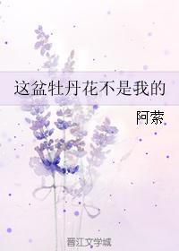 这盆牡丹花不是我的封面