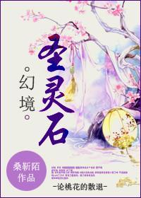 幻境·圣灵石封面