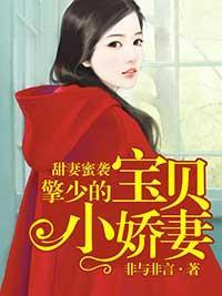 甜妻蜜袭：擎少的宝贝小娇妻封面