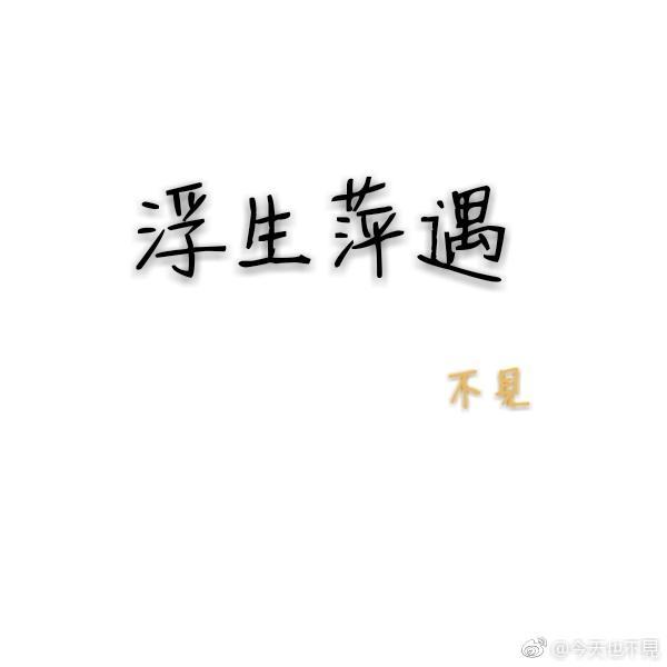 浮生萍遇封面