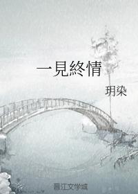 一见终情封面