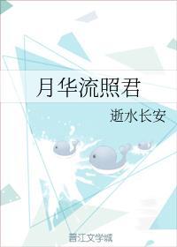 月华流照君封面