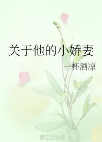 人面不知何处去封面