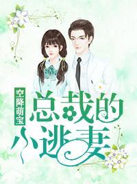 空降萌宝：总裁的小逃妻封面