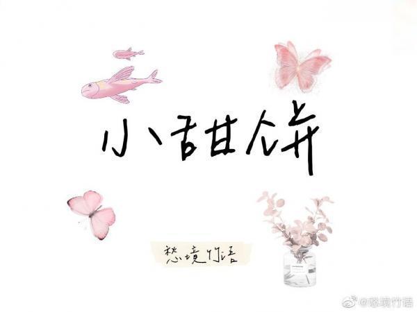 小甜饼封面