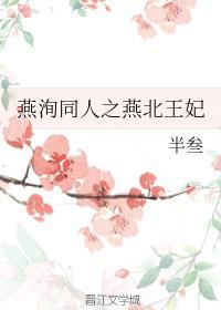 燕洵同人之燕北王妃封面