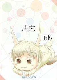 唐宋封面
