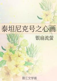 泰坦尼克号之心画封面