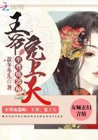 至尊炼器师：王爷，宠上天封面