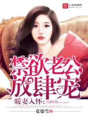暖妻入怀封面