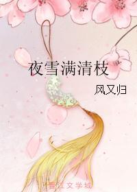 夜雪满清枝封面