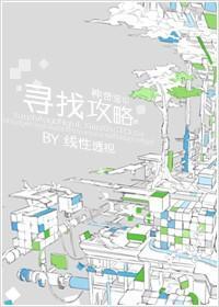 寻找攻略封面