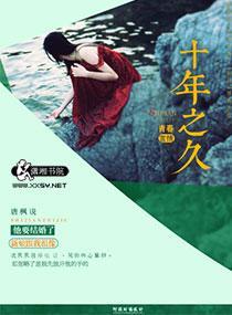 十年之久封面