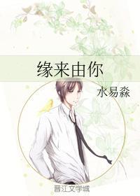缘来由你封面