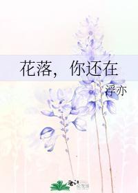 花落，你还在封面