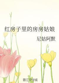 红房子里的房房姑娘封面