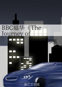 The Journey of Possibility封面