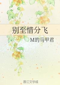 别至昔分飞封面