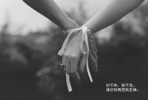 他们之间有爱情封面