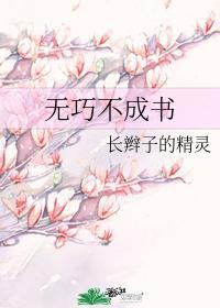 无巧不成书封面
