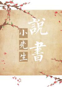 小先生说书封面