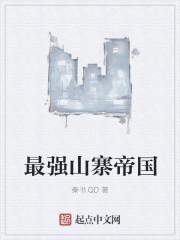 最强山寨帝国封面