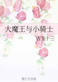大魔王与小骑士封面