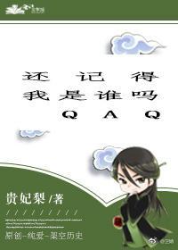 还记得我是谁吗封面