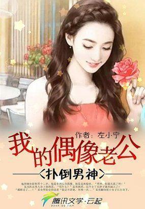 男神攻略：我的偶像老公封面