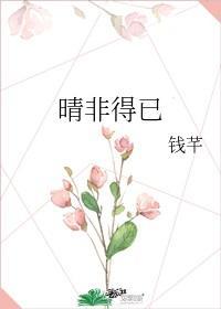晴非得已封面