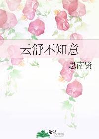 云舒不知意封面