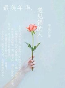 最美年华遇见错的人封面