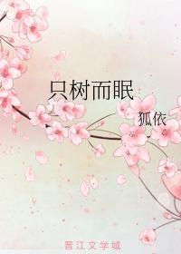 只树而眠封面