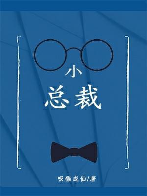 小总裁ABO封面