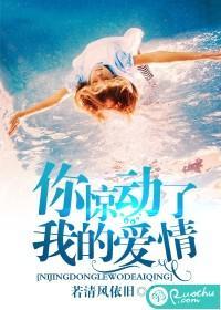 你惊动了我的爱情封面