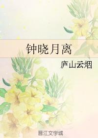 钟晓月离封面