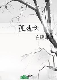 孤魂念封面