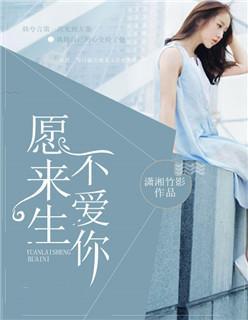 愿来生不爱你封面