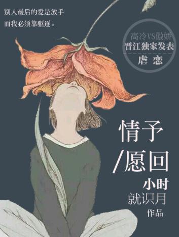 情予愿回封面