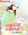 娇蛮总裁的极品老公封面