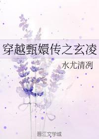 穿越甄嬛传之玄凌封面