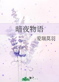 暗夜物语封面