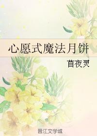 心愿式魔法月饼封面