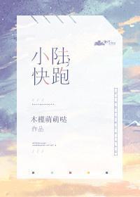 小陆快跑封面