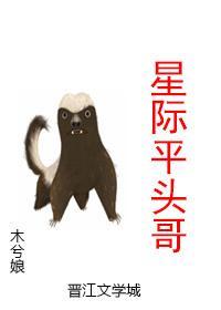 星际平头哥封面