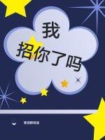 我招你了吗封面