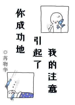 你成功地引起了我的註意封面