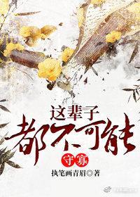 这辈子都不可能守寡（重生）封面