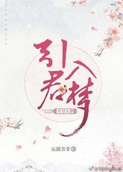 引君入梦封面